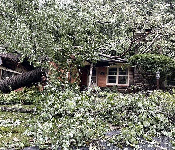The image shows a large tree that forced the roof of a home to collapse.