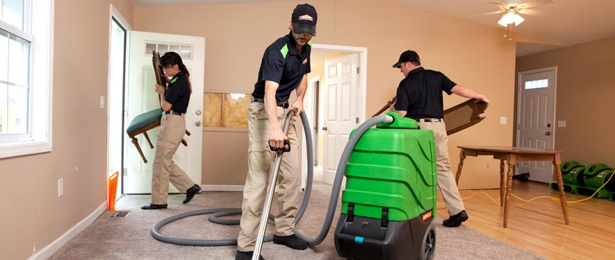 Lapeer, MI cleaning services